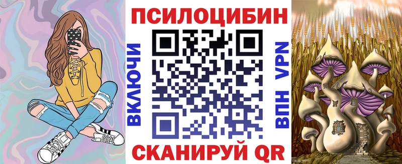 Купить закладки  Зуевка  Псилоцибиновые грибы ЛСД 